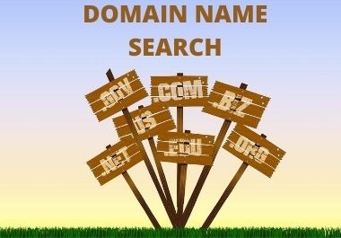 Domain name search professionaly