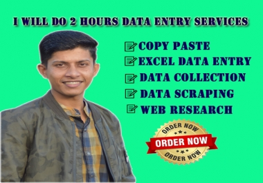 I will do 2 hours data entry services,  pdf to excel or word and copy paste work