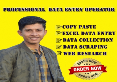 I will do data entry,  copy paste,  web scraping and excel data entry services