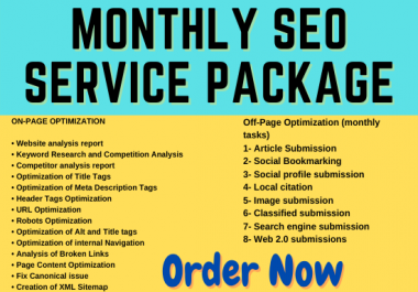 I will provide the best monthly SEO service package