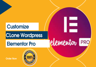 I Will Design Copy Clone Wordpress Website Using Elementor Pro, Divi Theme