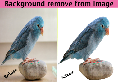 Provide background remove from images