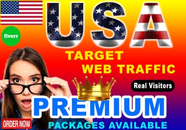 I will bring USA target daily unique visitors to your website