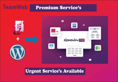 I will design,  redesign,  landing page or clone website using wordpress elementor pro