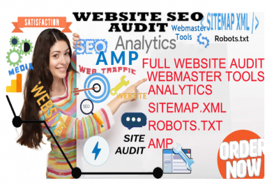 website seo audit setup webmaster,  analytics, sitemap, amp