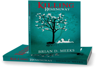 I will make a high quality ebook cover professionally in less than 24 hours