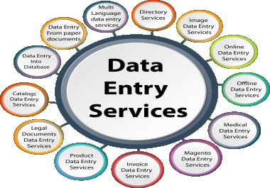 I will do data entry,  excel data entry,  copy paste and web research