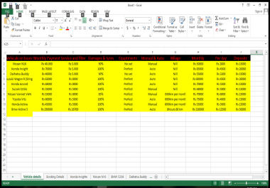 i will do data entry in excel and word for you.