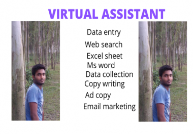 I can be your virtual assistant for one days