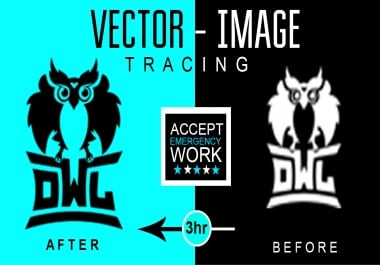 I will recreate,  remake,  redraw or redesign your logo in vector format