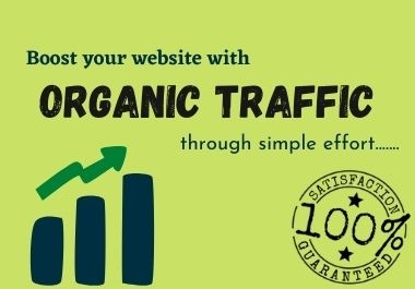 I will drive Keyword Targeted Organic Google Web Traffic to your website.