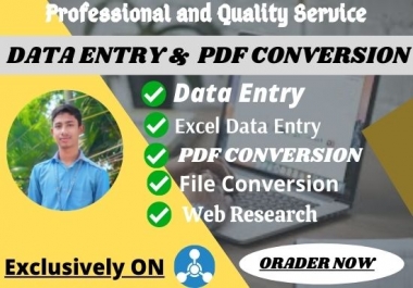 I will do 12hour excel data entry and pdf conversion any format