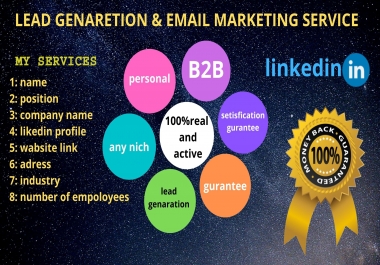 I will do for you b2b 100 lead generation or 3k email marketing campaign