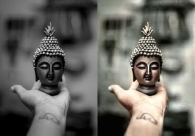 Providing service to do colourize photos provided by the customers