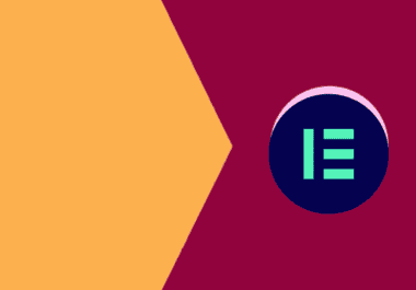 Create a WordPress Elementor pro website within 24 hours