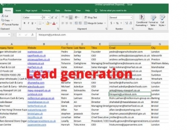 100 targeted b2b lead generation & LinkedIn lead generation for your business