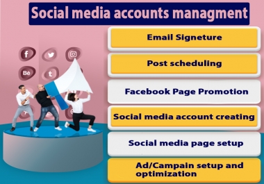 I'm a professional social media marketer so i can easily handle your accounts