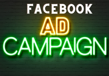 I will create and manage facebook ads campaign for your business campaign that converts
