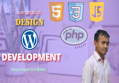 I will do professional website design and wordpress web development
