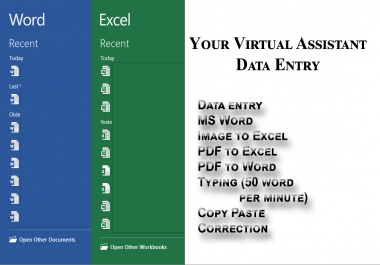 I will be your Virtual assistant of data entry for 8 hours work