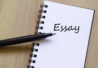 College essay and university applications