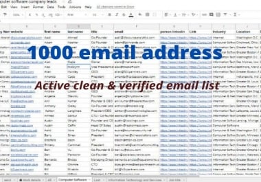 I will provide targeted email list for email marketing campaigns