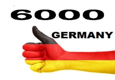 I will drive fast 6000 targeted germany real visits traffic with extras