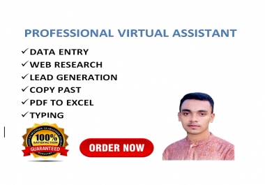 I will be your virtual assistant for data entry,  web research and lead generation for