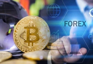 Boost Your Crypto & Forex Presence: 3 High-Quality Websites & SEO Backlinks