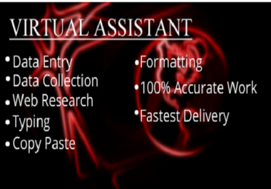 I will do excel data entry,  copy paste,  typing,  web research,  data mining