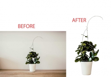 I Will Background Remove any images of 24 hrs