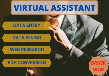 I will be your professional virtual assistant for data entry and web research