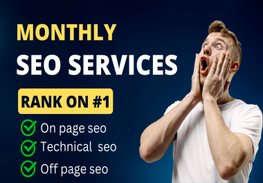 I will provide a monthly SEO service with high quality link building