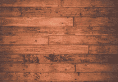 I will create all social media accounts and pages