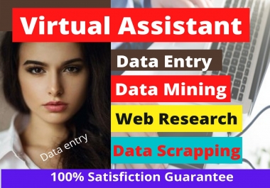 I will be your virtual assistant for web research,  data entry and excel