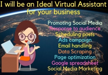 I will be an ideal virtual assistant for your business