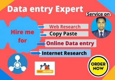 I will do Data entry service for you perfectly and honestly