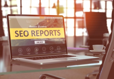 Providing SEO Reports about websites under an hour