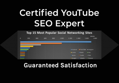 I will optimize seo youtube video title,  description,  tags the right way