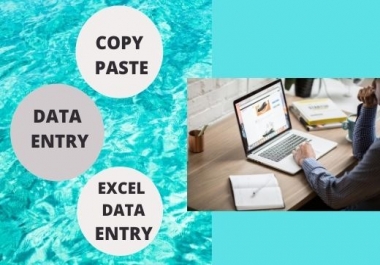 I will do copy paste,  data entry and excel data entry