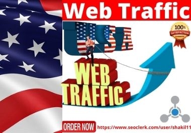 I will drive 1000 targeted real web traffic