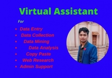 I wil Be your Virtual Assistant For Data Entry Copy Paste Web Research admin support