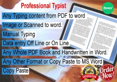 Professionally all kind of Word,  Excel typing job 25 pages within 24h