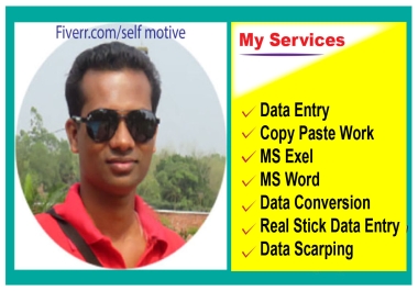 I will do data entry and copy-paste