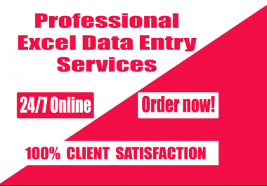 I will do data entry,  copy paste,  web research,  data scraping and excel data entry