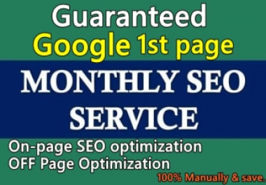 I will do monthly seo services guaranteed first page rankings
