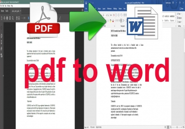 I will do scanned pages,  PDF convert to word