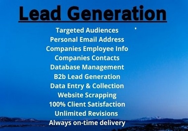 I will do b2b lead generation and targeted email list