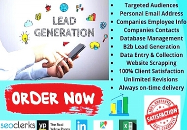 I will provide B2b lead generation and email marketing and LinkedIn research