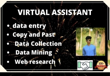 I will provide your virtual assistant service